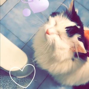 Meet your Posher, Ava